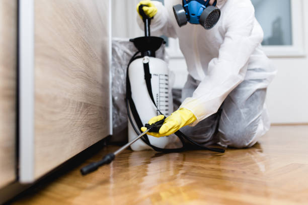 Best Best Pest Control Companies  in Wood River, NE