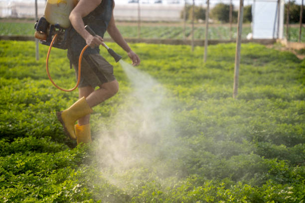 Best Pest Inspection Near Me  in Wood River, NE