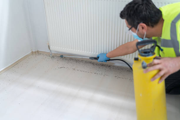 Best Mosquito Control Services  in Wood River, NE