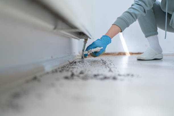 Best Pest Control Treatment  in Wood River, NE